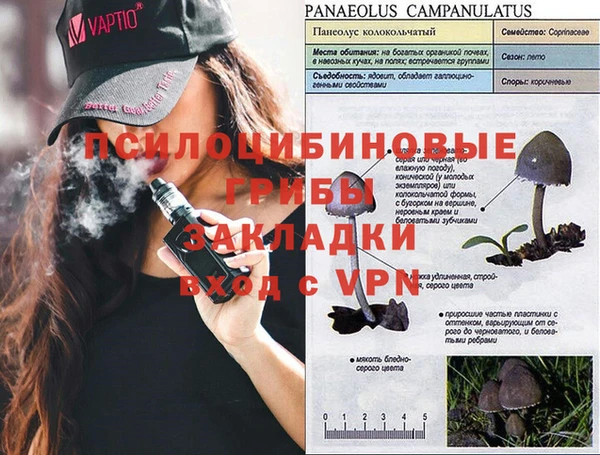 а пвп мука Бородино