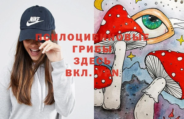 а пвп мука Бронницы