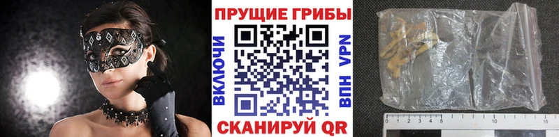 Галлюциногенные грибы GOLDEN TEACHER  дарк нет как зайти  Луховицы 